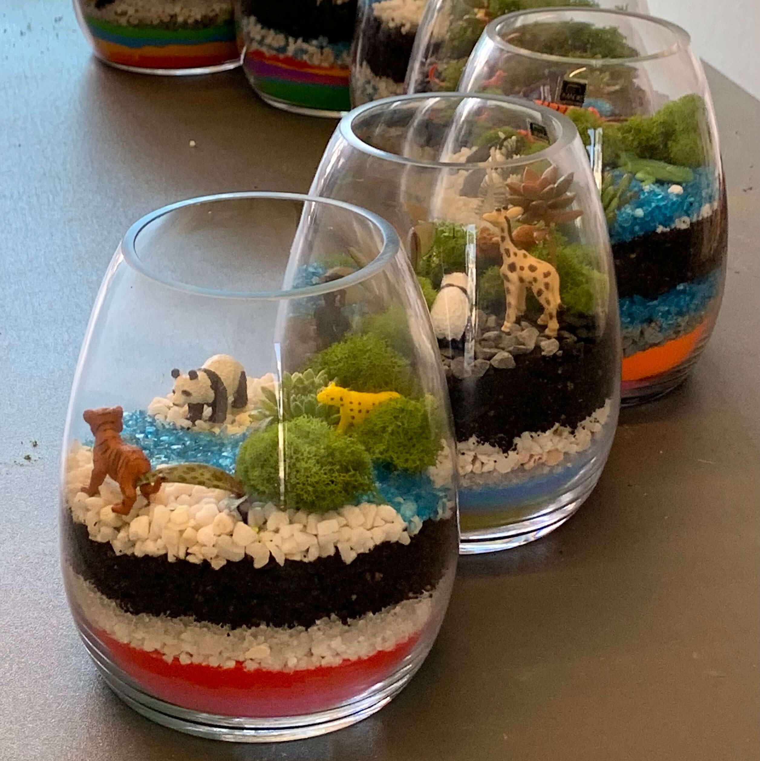 A display of terrariums