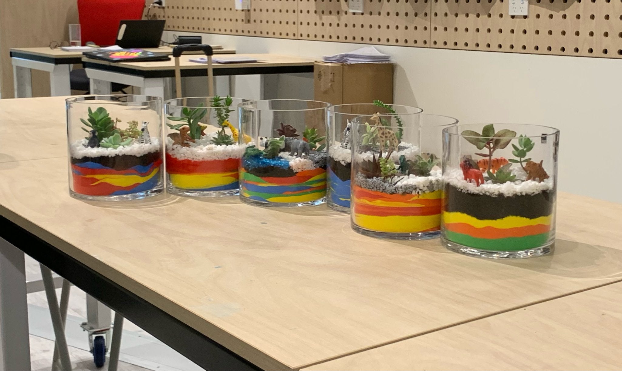 A collection of succulents terrarium made during the workshop.