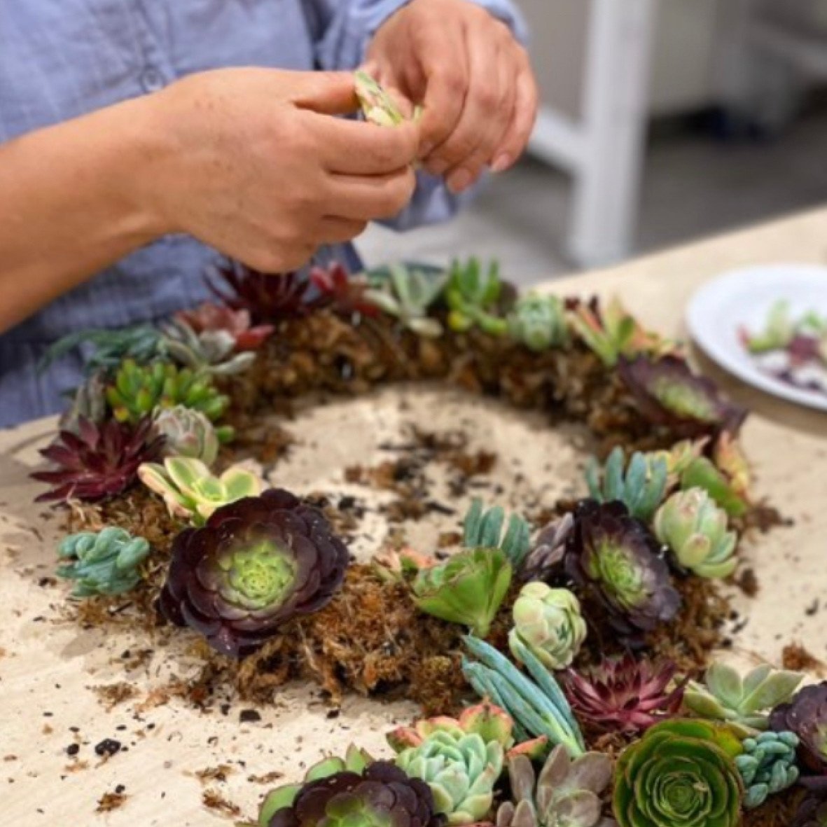 A woman participating in succulents wreathmaking workshop.