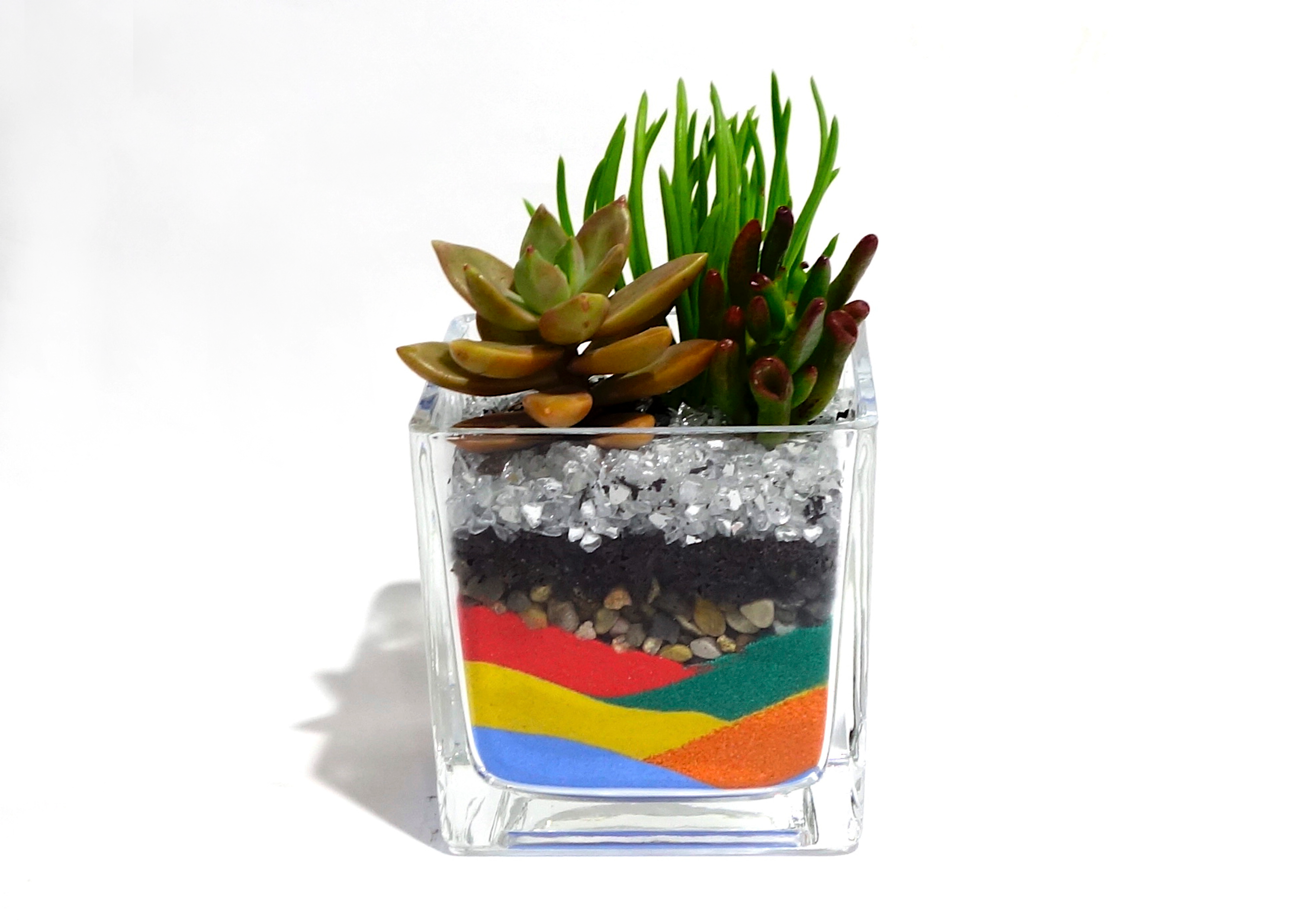 Succulents Terrarium Workshop