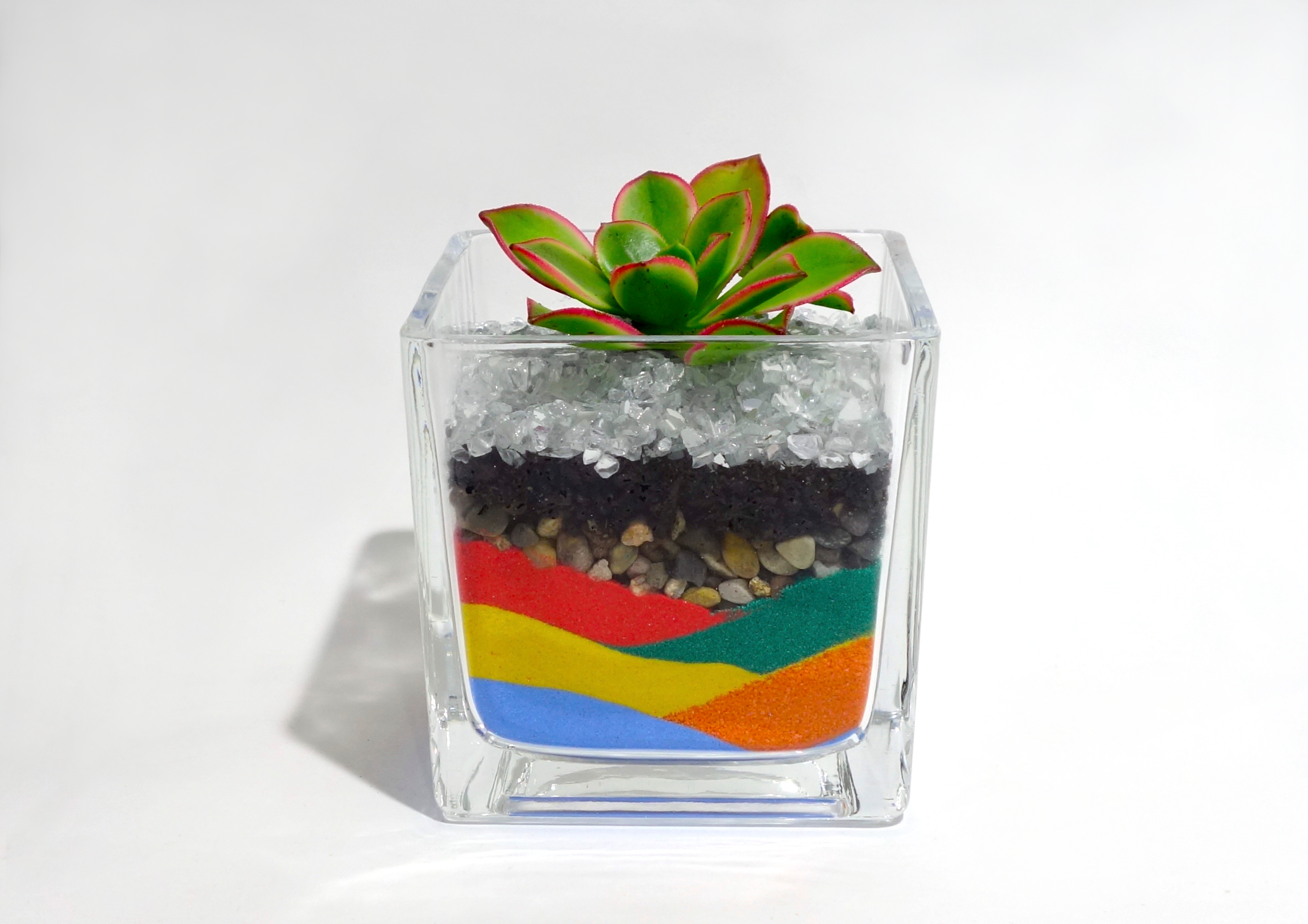 Succulents Terrarium Workshop