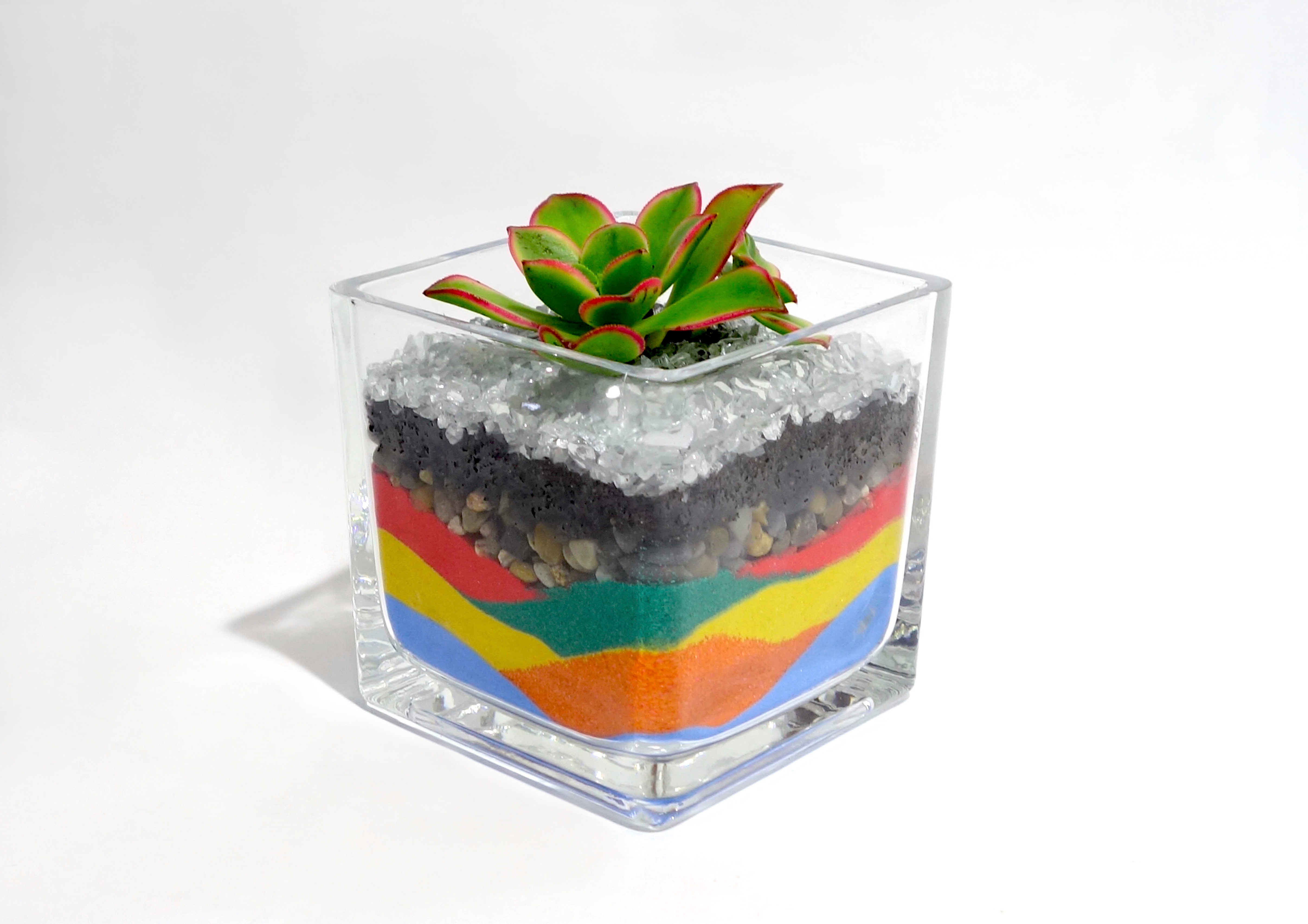 Succulents Terrarium Workshop