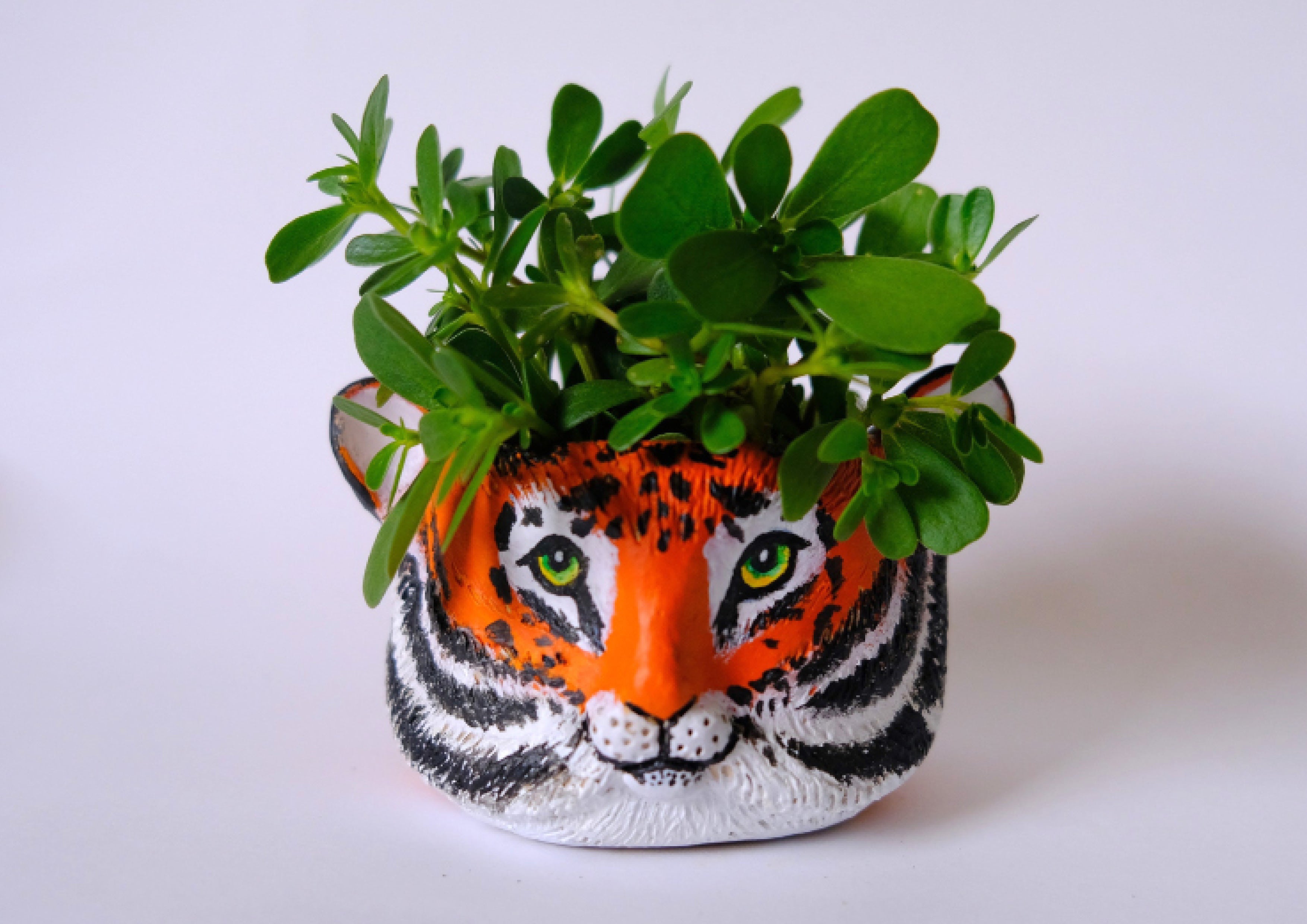 Tiger Planter Workshop