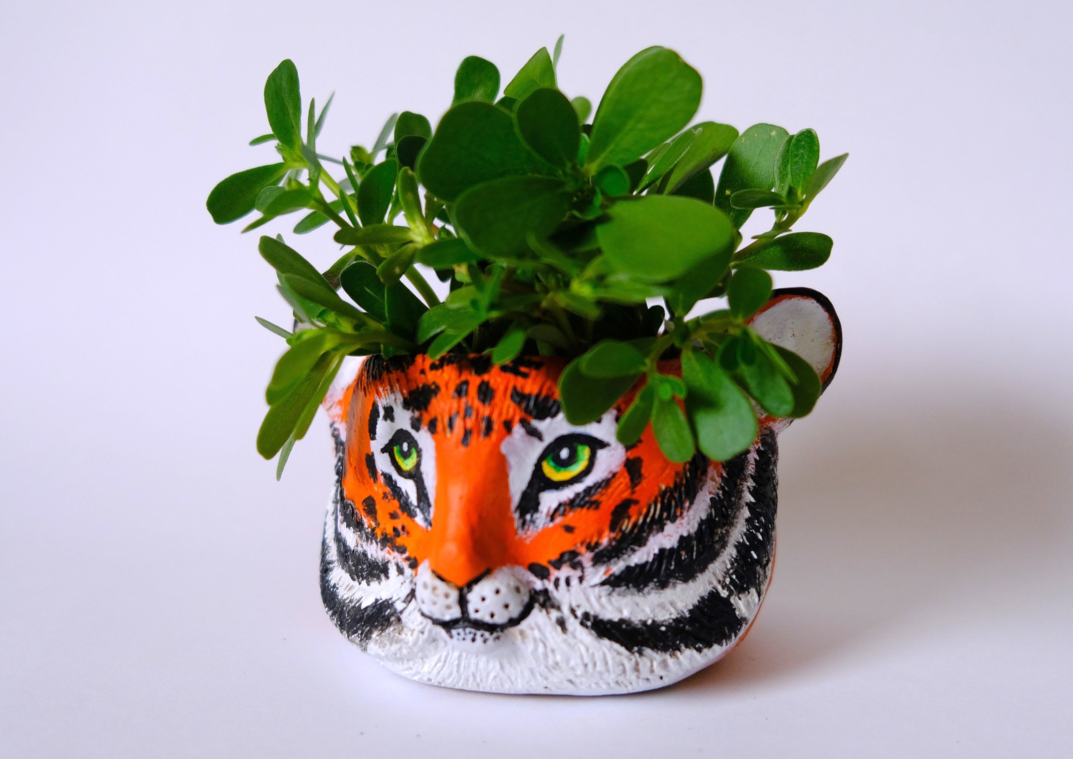 Tiger Planter Workshop